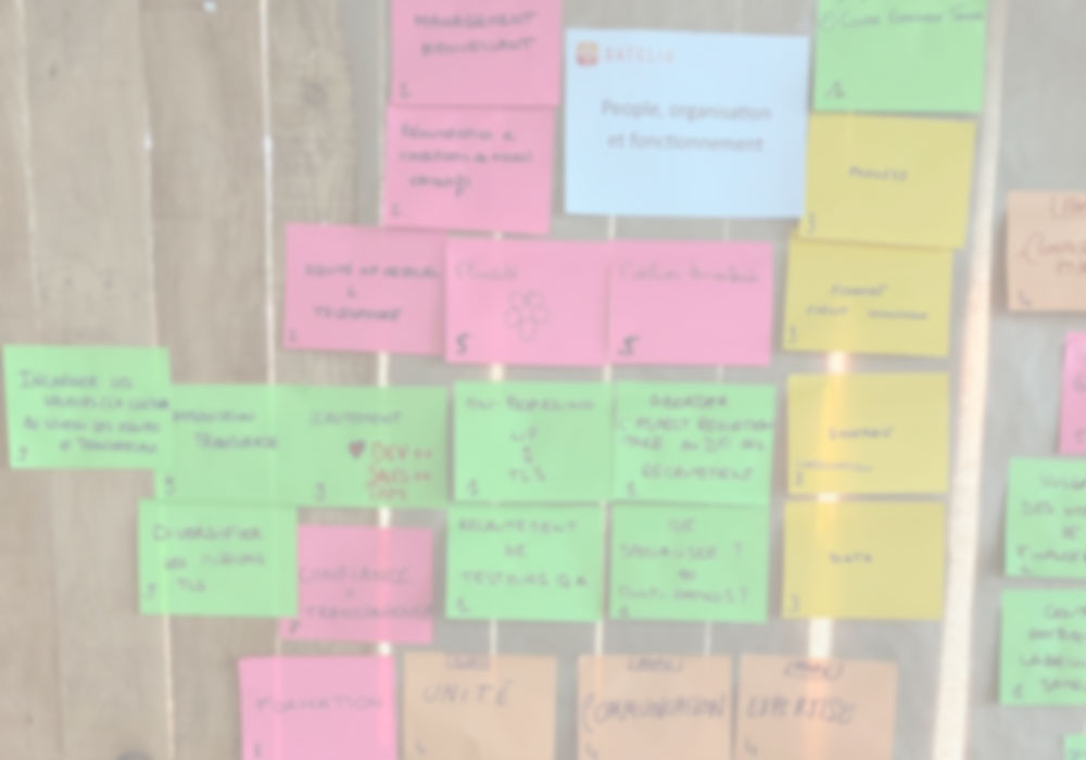 coachin-co3 https://www.cap-grh.pataras.com/wp-content/uploads/2024/04/coachin-co3.jpg